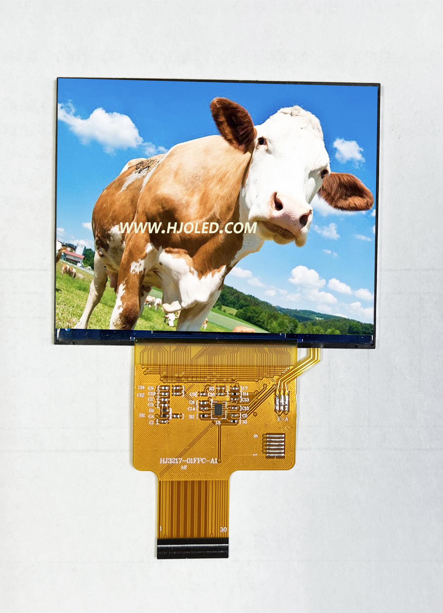 1024*768 해상도가 장착 된 3.17 인치 IP 수평 화면 디스플레이, 여러 인터페이스를 지원합니다.